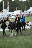 Bad-Segeberg-Show-_636.jpg