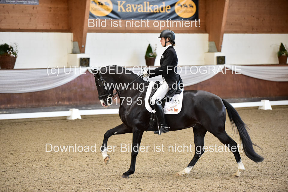 26-10-19---Dressur-Kl-S--Trense_026.jpg