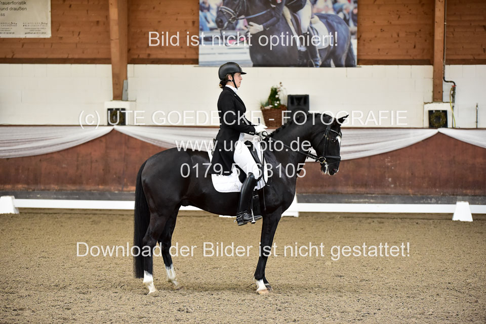 26-10-19---Dressur-Kl-S--Trense_029.jpg