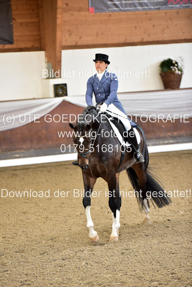 26-10-19---Dressur-Kl-S--Trense_039.jpg