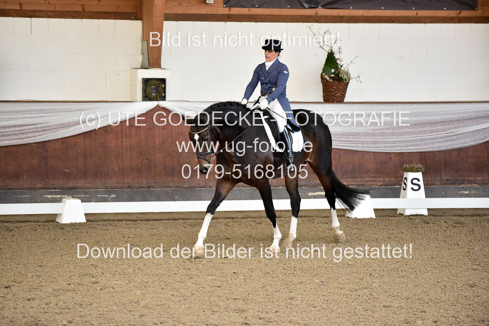 26-10-19---Dressur-Kl-S--Trense_044.jpg