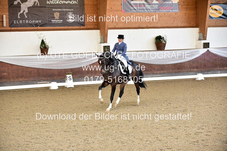 26-10-19---Dressur-Kl-S--Trense_052.jpg