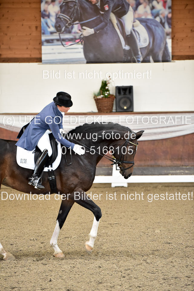 26-10-19---Dressur-Kl-S--Trense_058.jpg