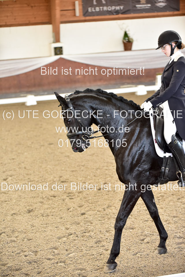 26-10-19---Dressur-Kl-S--Trense_061.jpg