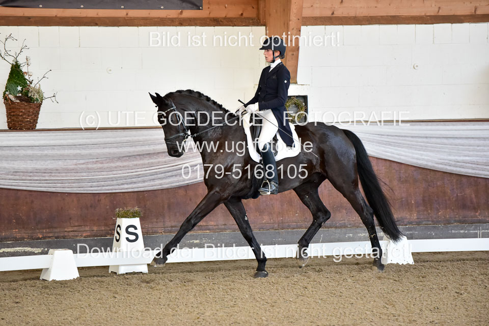 26-10-19---Dressur-Kl-S--Trense_076.jpg