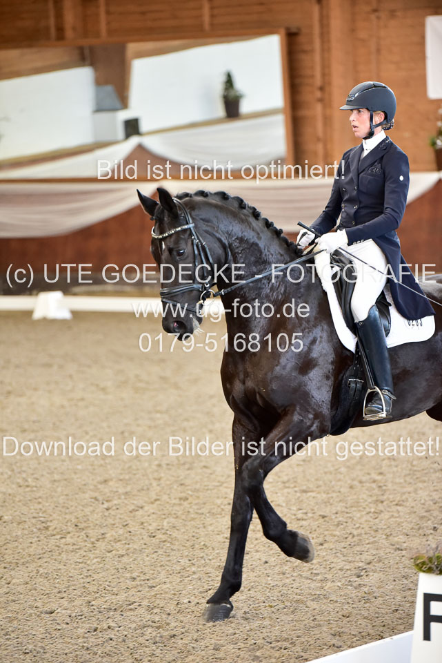 26-10-19---Dressur-Kl-S--Trense_082.jpg