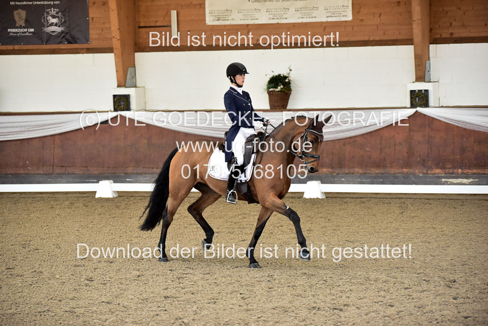 26-10-19---Dressur-Kl-S--Trense_093.jpg