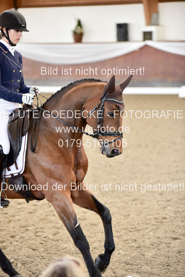 26-10-19---Dressur-Kl-S--Trense_097.jpg