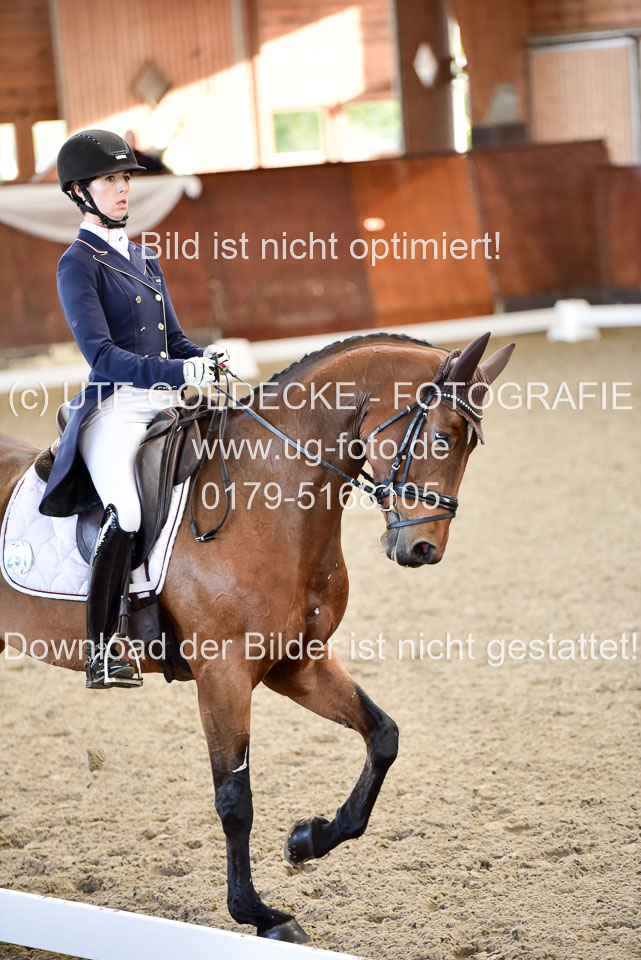 26-10-19---Dressur-Kl-S--Trense_101.jpg