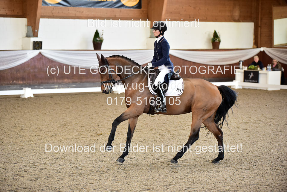 26-10-19---Dressur-Kl-S--Trense_104.jpg