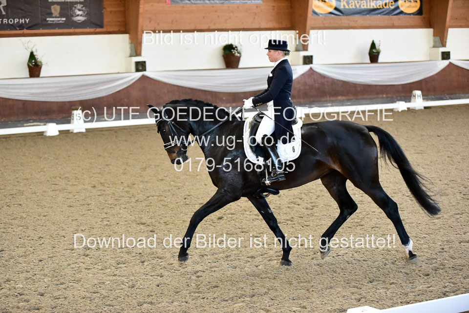 26-10-19---Dressur-Kl-S--Trense_109.jpg