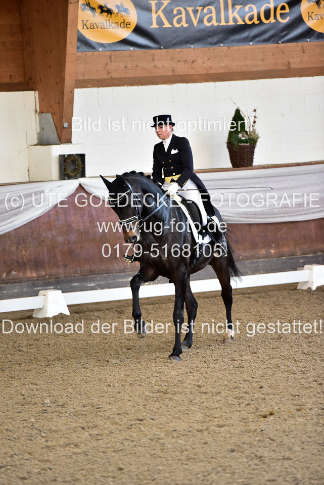 26-10-19---Dressur-Kl-S--Trense_116.jpg