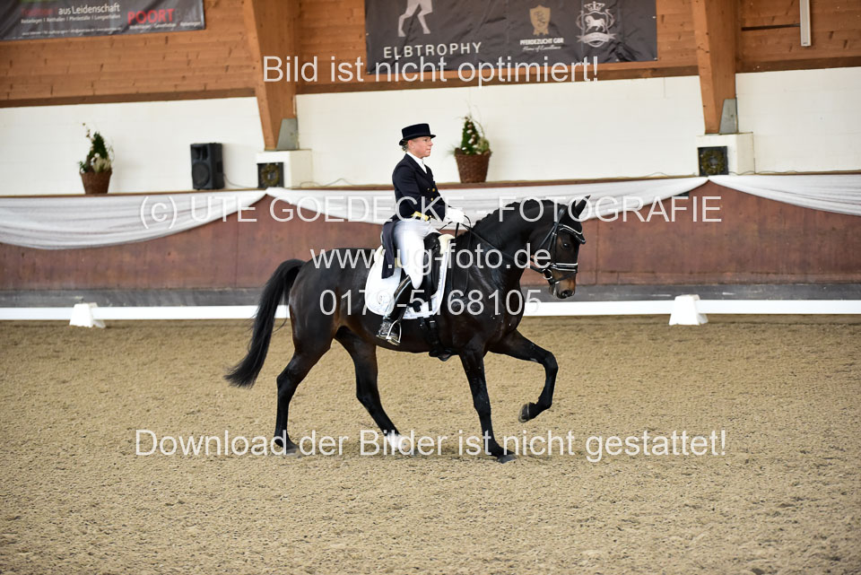 26-10-19---Dressur-Kl-S--Trense_122.jpg