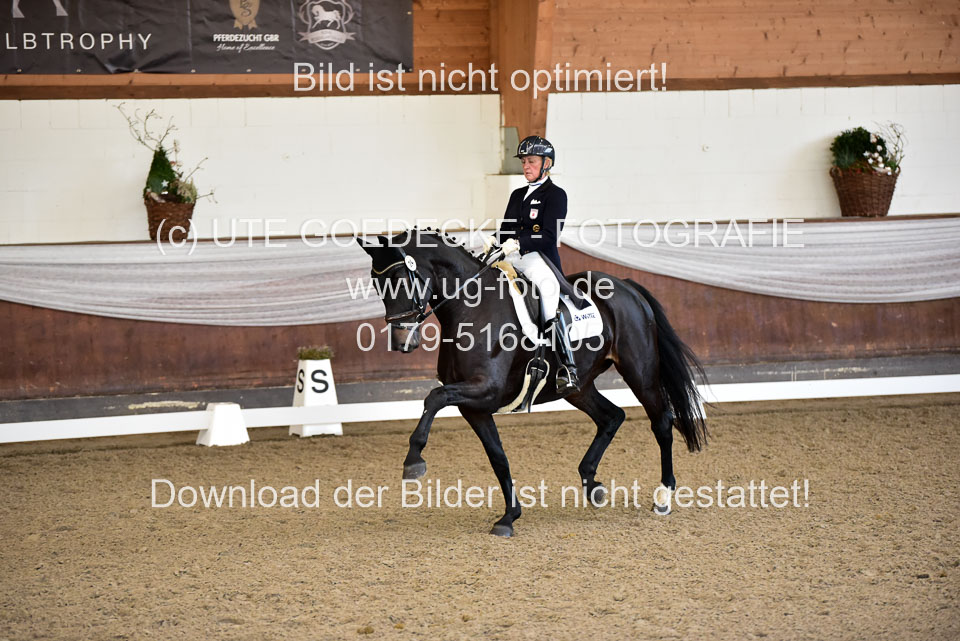 26-10-19---Dressur-Kl-S--Trense_127.jpg