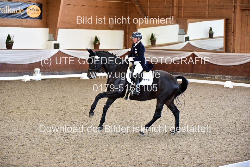 26-10-19---Dressur-Kl-S--Trense_141.jpg