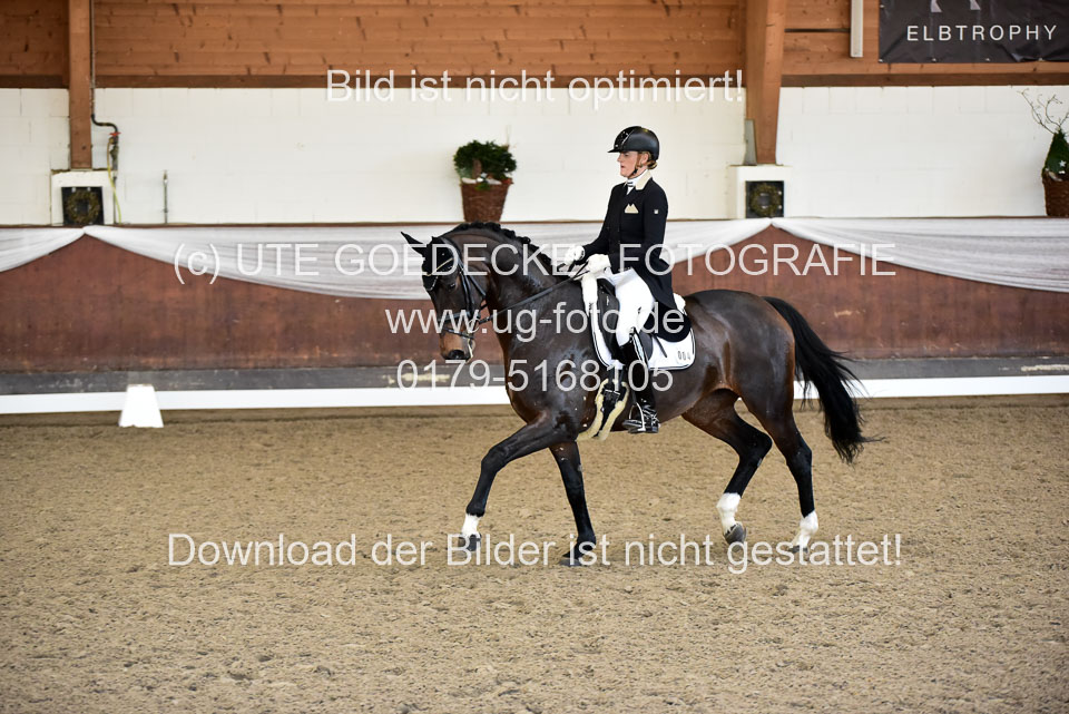 26-10-19---Dressur-Kl-S--Trense_145.jpg