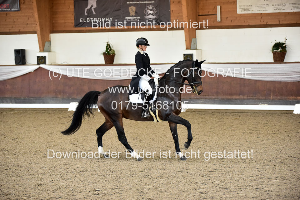 26-10-19---Dressur-Kl-S--Trense_147.jpg
