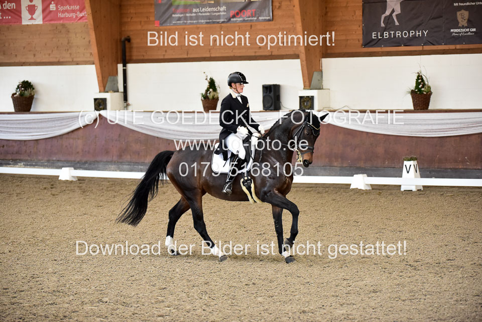 26-10-19---Dressur-Kl-S--Trense_148.jpg