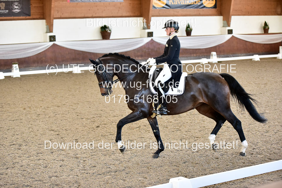 26-10-19---Dressur-Kl-S--Trense_150.jpg