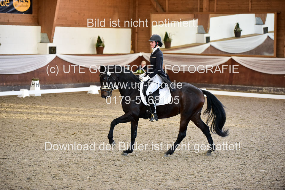 26-10-19---Dressur-Kl-S--Trense_156.jpg