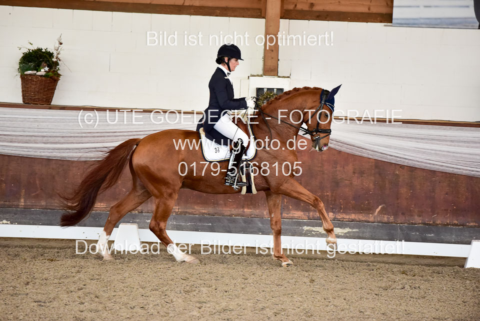 26-10-19---Dressur-Kl-S--Trense_160.jpg