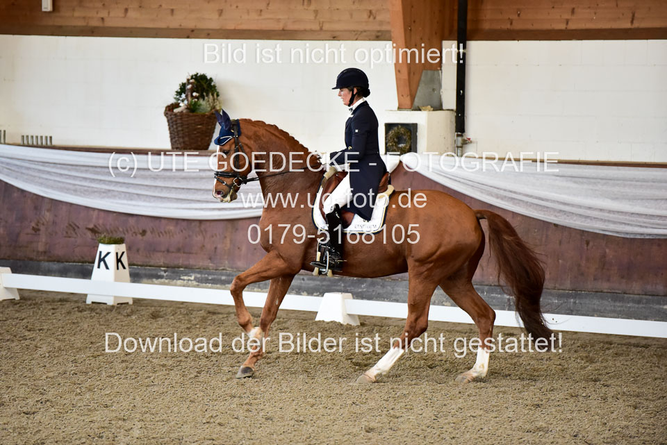 26-10-19---Dressur-Kl-S--Trense_164.jpg