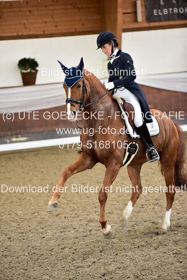 26-10-19---Dressur-Kl-S--Trense_165.jpg