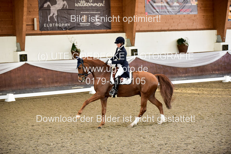 26-10-19---Dressur-Kl-S--Trense_167.jpg