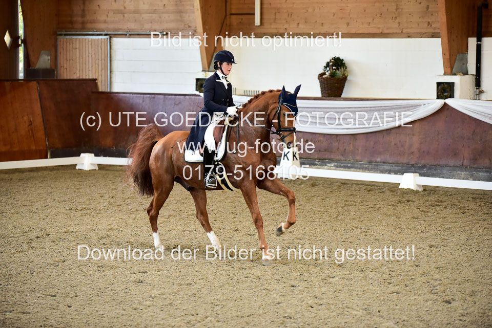 26-10-19---Dressur-Kl-S--Trense_168.jpg