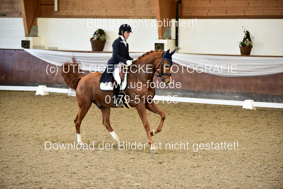 26-10-19---Dressur-Kl-S--Trense_169.jpg