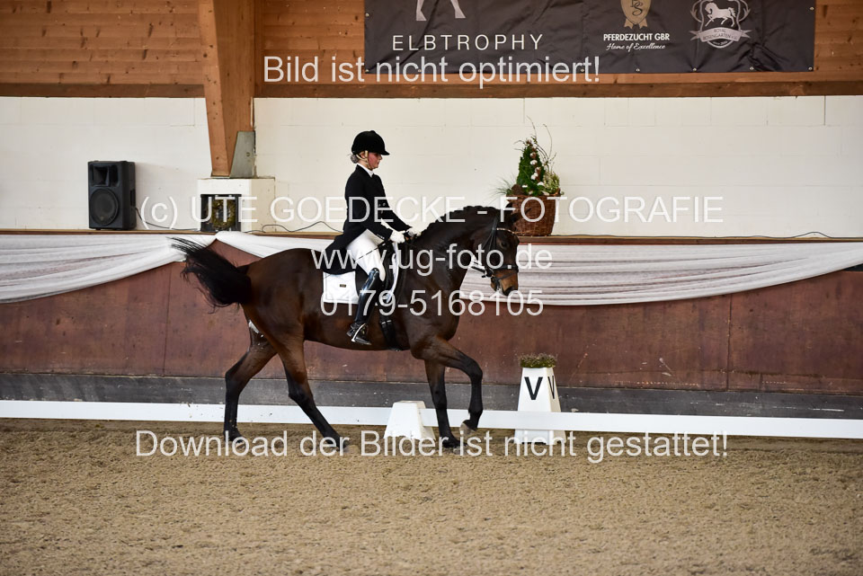 26-10-19---Dressur-Kl-S--Trense_177.jpg