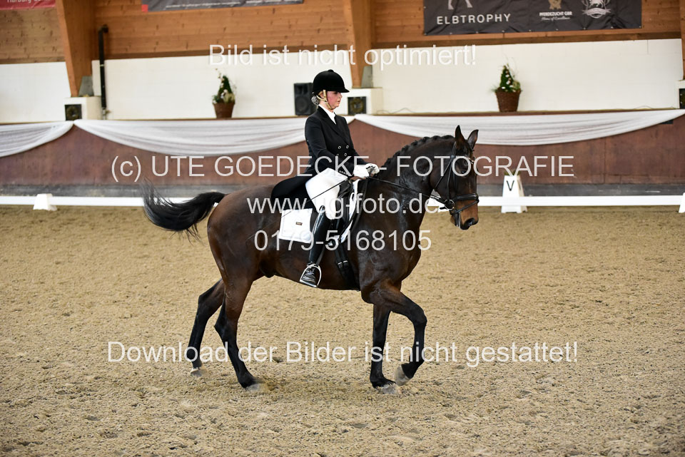 26-10-19---Dressur-Kl-S--Trense_180.jpg