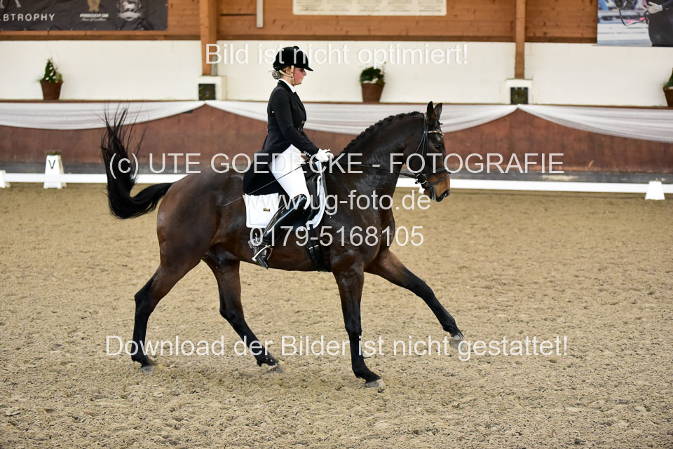 26-10-19---Dressur-Kl-S--Trense_181.jpg