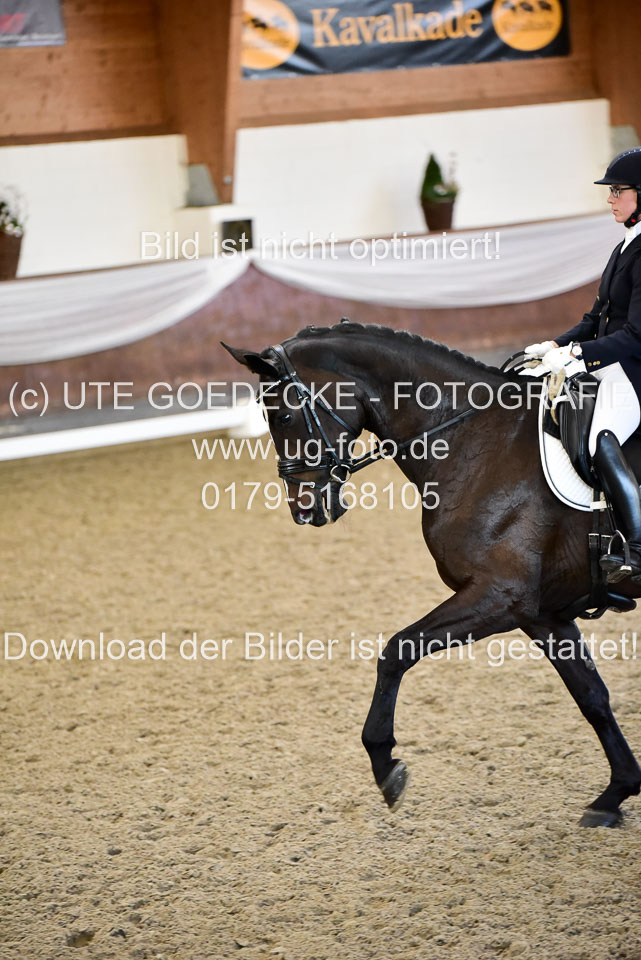 26-10-19---Dressur-Kl-S--Trense_187.jpg