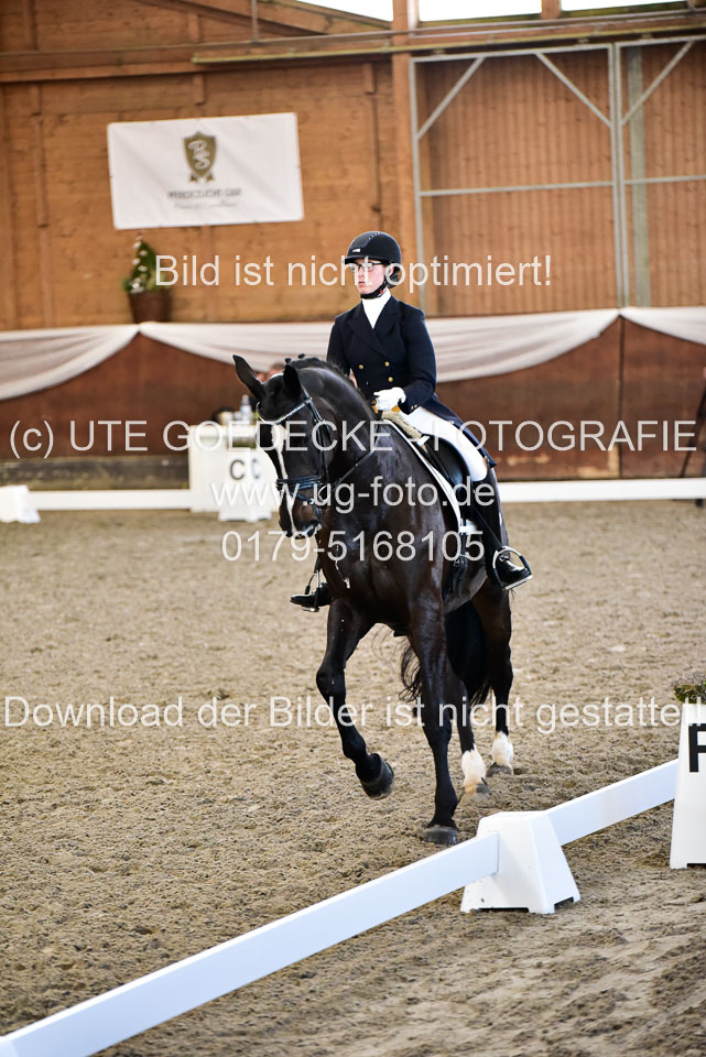 26-10-19---Dressur-Kl-S--Trense_192.jpg