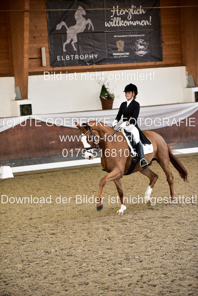 26-10-19---Dressur-Kl-S--Trense_199.jpg