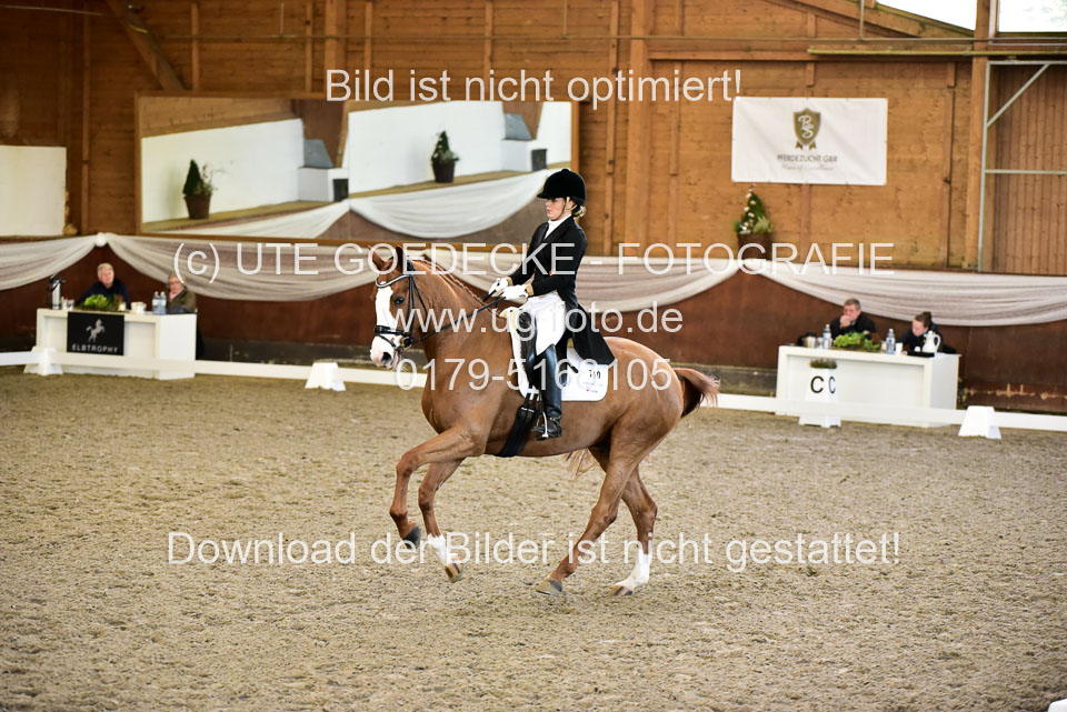 26-10-19---Dressur-Kl-S--Trense_205.jpg