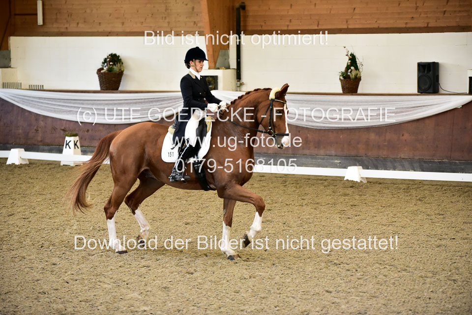 26-10-19---Dressur-Kl-S--Trense_208.jpg