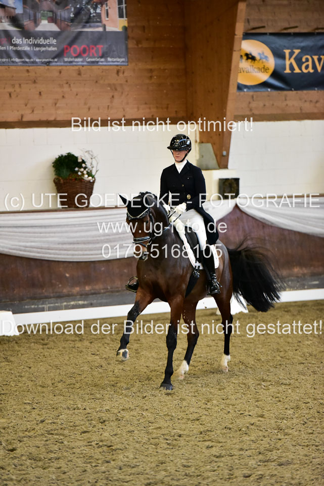 26-10-19---Dressur-Kl-S--Trense_220.jpg
