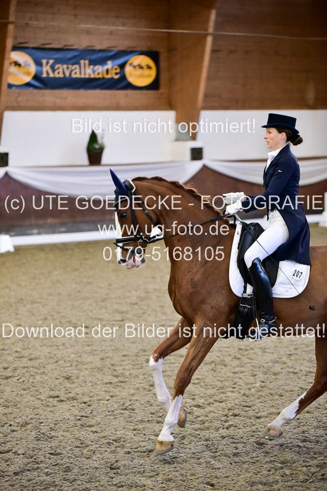 26-10-19---Dressur-Kl-S--Trense_228.jpg