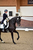 26-10-19---Dressur-Kl-S--Trense_143.jpg