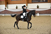 26-10-19---Dressur-Kl-S--Trense_180.jpg