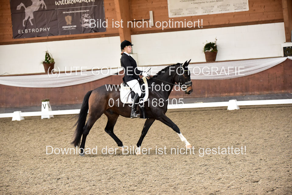 Martens,-Michelle---bon-cheval-Belmondo_3.jpg