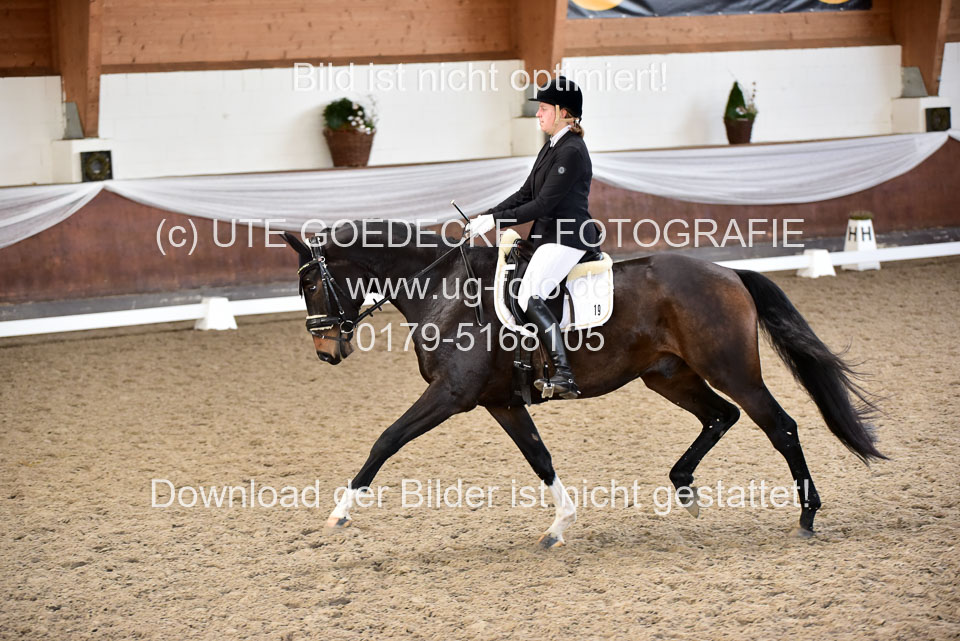 Martens,-Michelle---bon-cheval-Belmondo_5.jpg