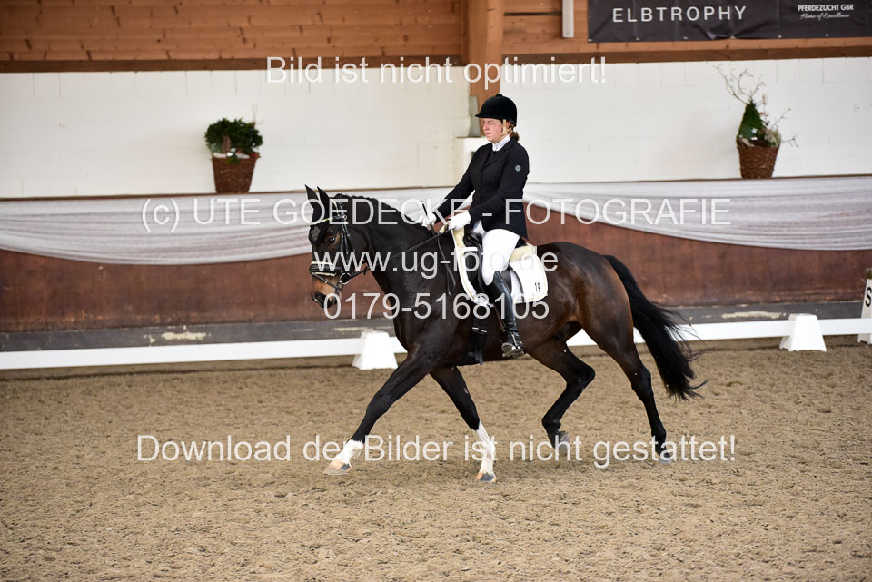 Martens,-Michelle---bon-cheval-Belmondo_6.jpg