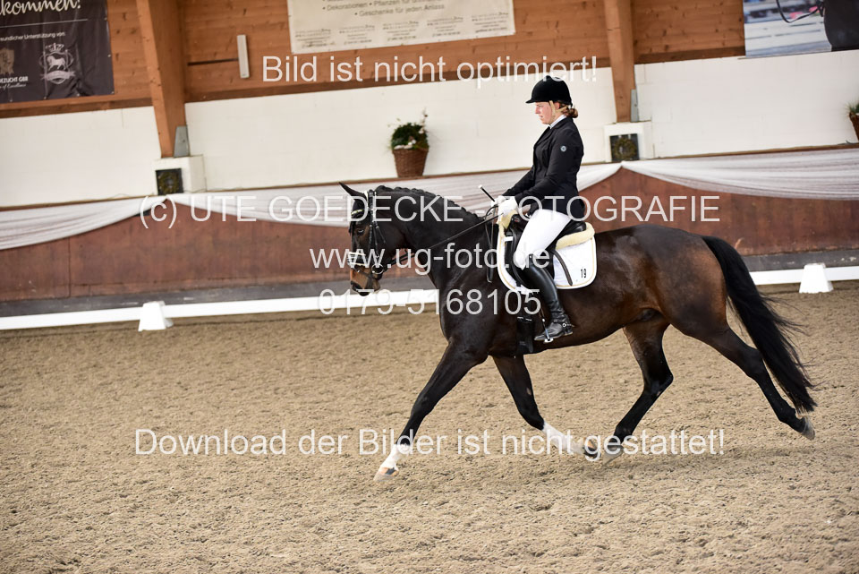 Martens,-Michelle---bon-cheval-Belmondo_7.jpg