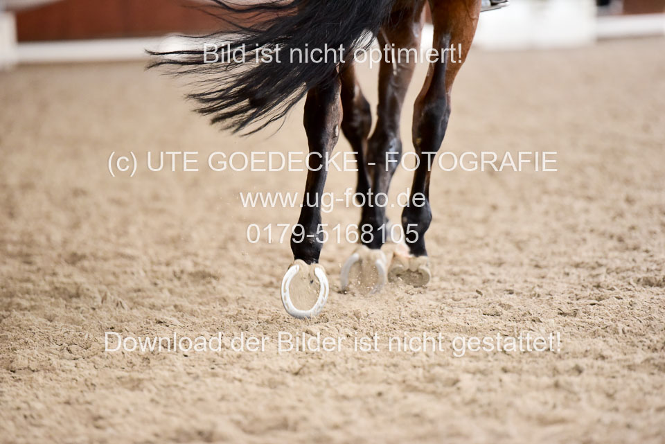 Impressionen_37.jpg
