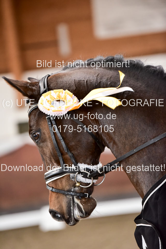 Siegerehrungen-Elbtrophy-_50.jpg