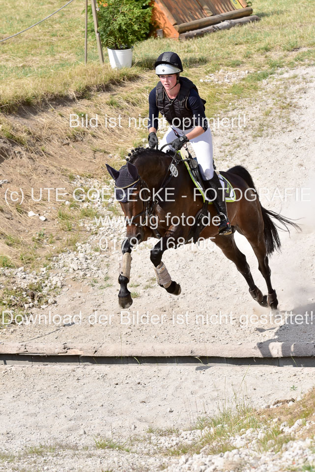 10072019--Geländepferde-L_001.jpg