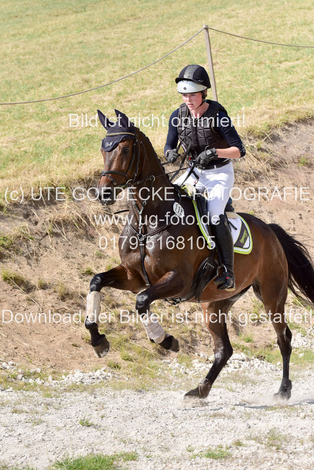 10072019--Geländepferde-L_003.jpg